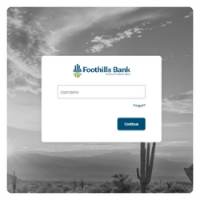 Screenshot of Online Banking log in.